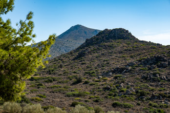 View from the country road near Pachia Rachi through the trees to Mount Hellanion Oros on the island of Aegina.