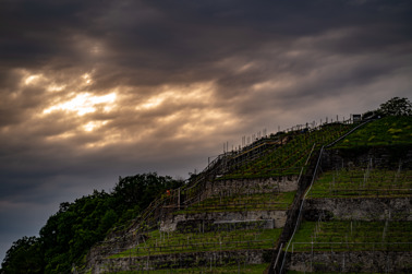 The sun breaks through the clouds and bathes the vineyard in a dramatic light.