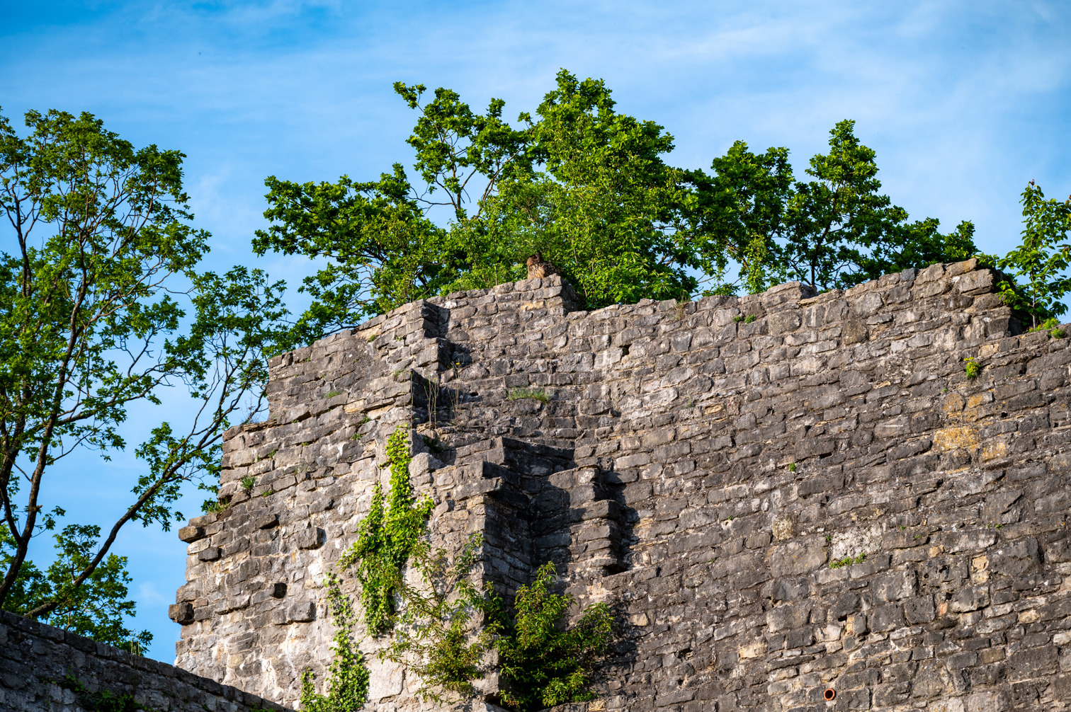 Wall of Lichteneck castle ruins