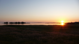 Sunset behind Warder island and Krummsteert-Sulsdorfer Wiek.
Late evening bike tour in the south of Fehmarn.